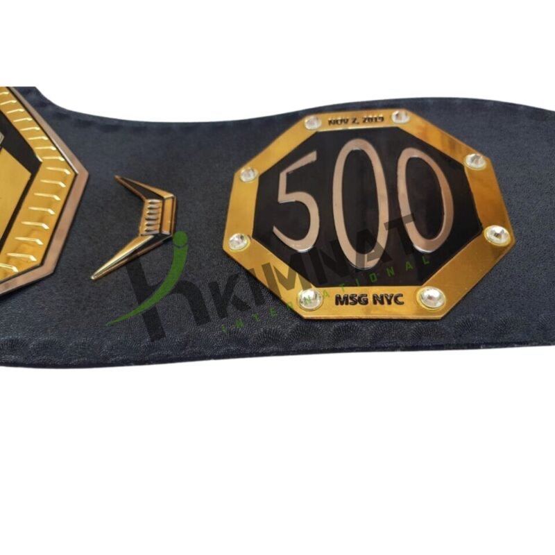 BMF Gold & Silver Championship Title (Replica) Belt Adult Size - Image 3