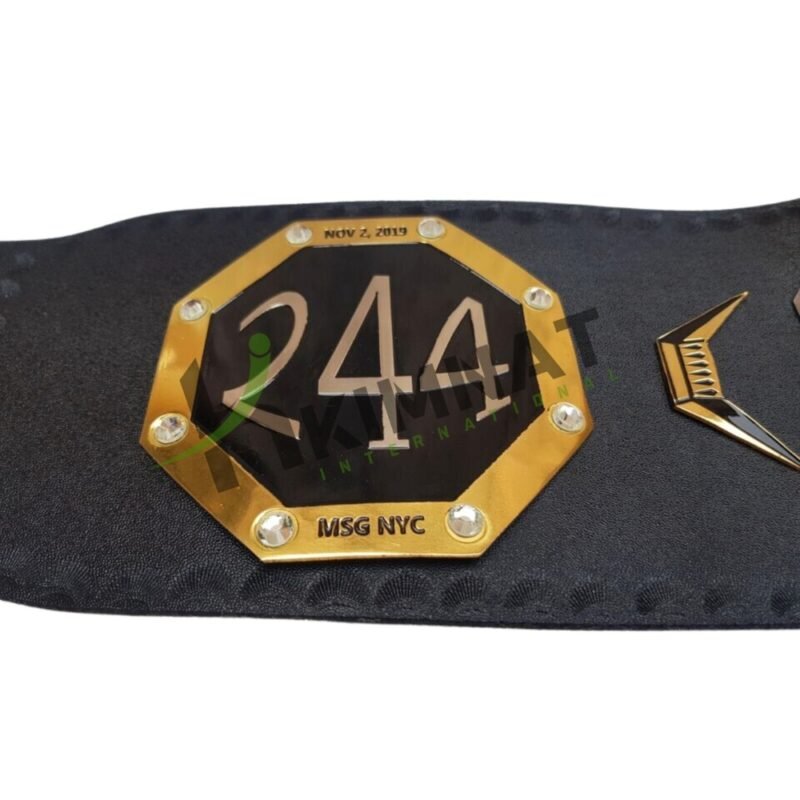 BMF Gold & Silver Championship Title (Replica) Belt Adult Size - Image 2