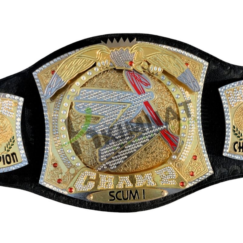 WWE Spinner World Heavyweight Wrestling Championship Title (Replica) Belt Adult Size With Custom Name Option - Image 9