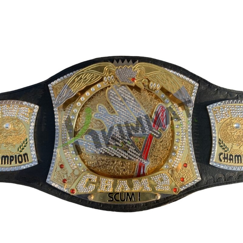 WWE Spinner World Heavyweight Wrestling Championship Title (Replica) Belt Adult Size With Custom Name Option - Image 7