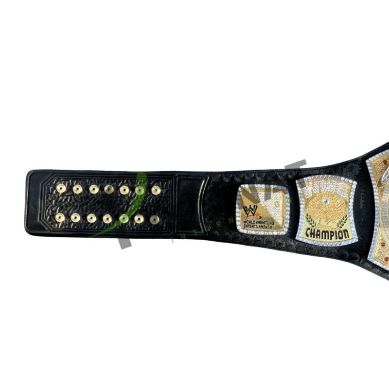 WWE Spinner World Heavyweight Wrestling Championship Title (Replica) Belt Adult Size With Custom Name Option - Image 2