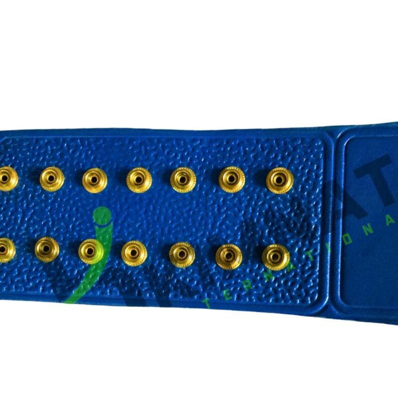 WWF Big Eagle World Heavyweight Blue Leather Wrestling Championship Replica Title Adult Size Belt - Image 8